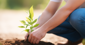 Earth-Friendly Gardening: Techniques for a Sustainable Future